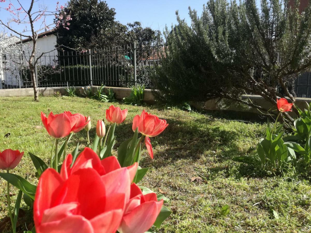 Home Di Federico Chivasso Exteriér fotografie